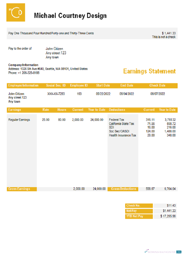 Download USA Michael Courtney Design graphic company pay stub Photoshop template